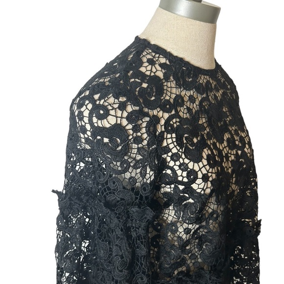 H&M Black Embroidered Lace Ruffle Long Balloon Sleeve Sheer Blouse Women Size 6 - Picture 7 of 16